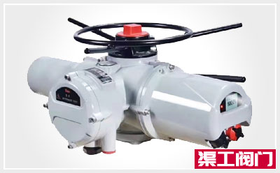 DZW/Z型多（duō）回轉閥門電（diàn）動（dòng）執（zhí）行器